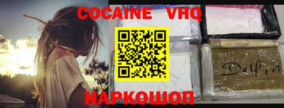 кокс Гатчина