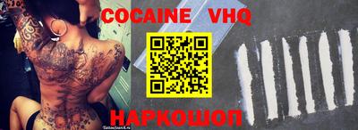 кокс Гатчина