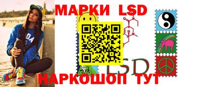 кокс Гатчина