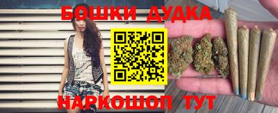 кокс Гатчина
