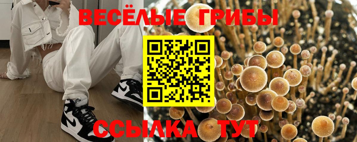 Миллерово  Псилоцибиновые грибы ЛСД  Вход с VPN 